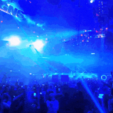 a crowd of people at a concert with a sign that says ns