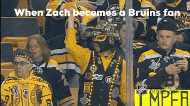 a bruins fan is wearing a mask and a vest
