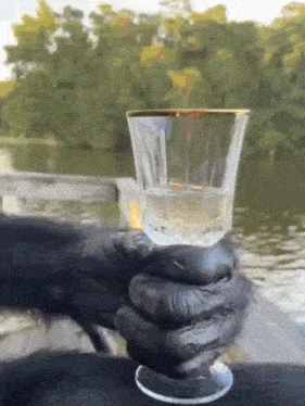 a gorilla is holding a wine glass in its hands