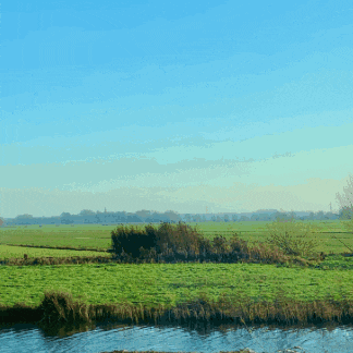 a river runs through a grassy field with trees in the distance