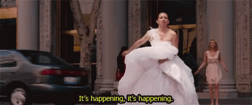 Maya Rudolph Its Happening GIF - Maya Rudolph Its Happening Bridesmaid GIFs