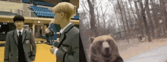 Csykity Sunoo GIF