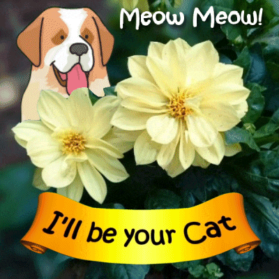 a picture of flowers and a dog that says meow meow