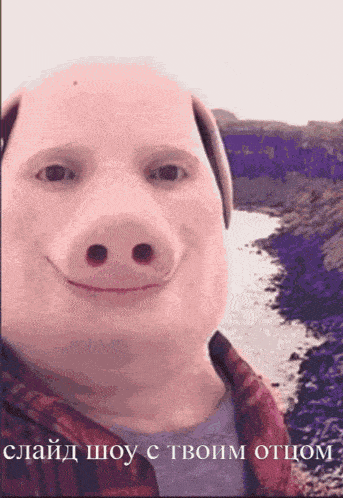 a picture of a man with a pig 's face and a river in the background