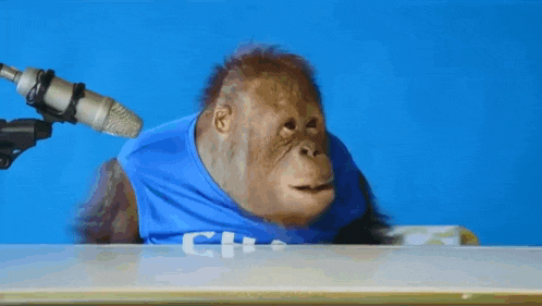 a monkey is sitting at a table with a microphone .
