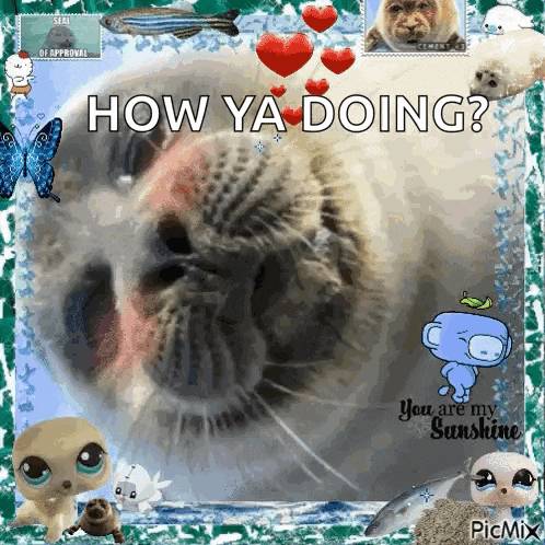 a picture of a seal with the words how ya doing