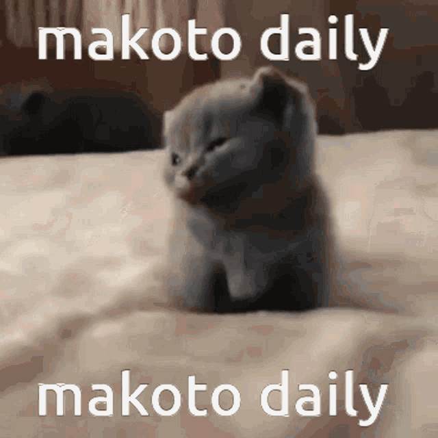 Makotodaily Tsukki GIF - Makotodaily Makoto Daily GIFs