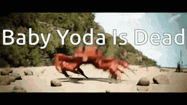 a crab is crawling on a beach with the words baby yoda is dead above it