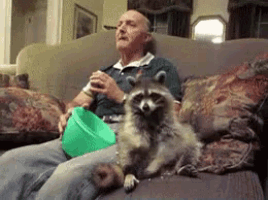 a man is sitting on a couch with a raccoon and a green bowl of popcorn
