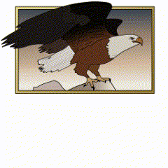a picture of a bald eagle with its wings outstretched