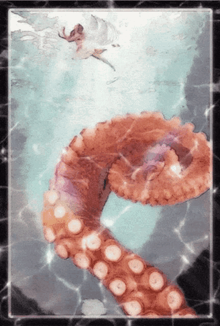 a picture of a mermaid and an octopus in the water