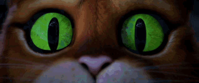 Puss In Boots Bleeding GIF - Puss In Boots Bleeding Scared GIFs