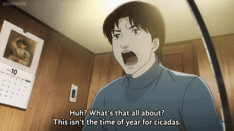 a man in a blue sweater is talking about cicadas
