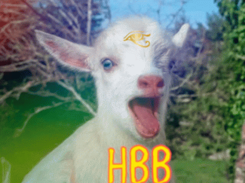 Habibi Goat GIF - Habibi Goat Habibigoat GIFs