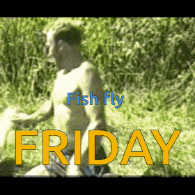 a picture of a shirtless man with the words fish fly friday in yellow letters
