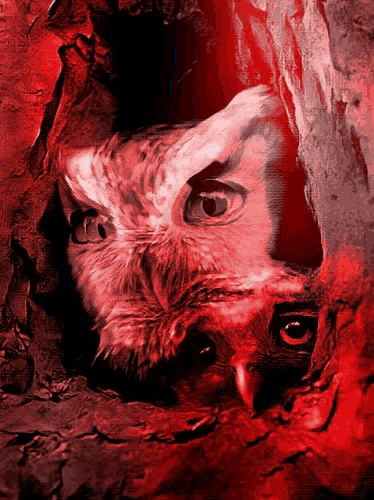 a painting of an owl looking out of a hole in a tree