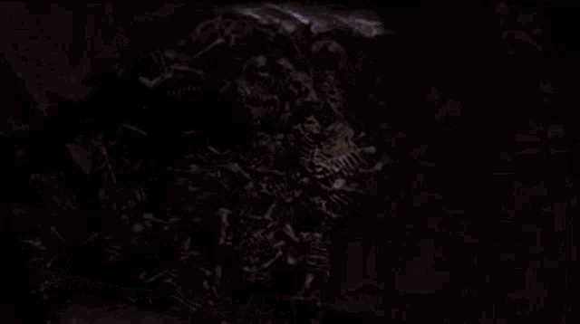 a bunch of skeletons are standing in the dark
