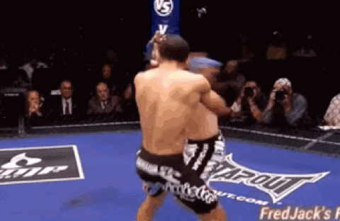 two men are fighting in a boxing ring with the word paroli on the floor