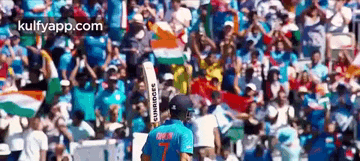 Dhoni Last World Cup Moment.Gif GIF