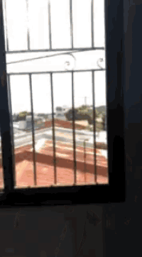 a window with a wrought iron fence and a view of a rooftop
