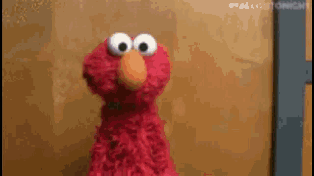 elmo from sesame street is standing in front of a wooden wall and looking at the camera .