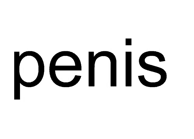 a white background with the word penis written in black
