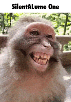 a monkey with big teeth is smiling with the words silenta lume one below it .