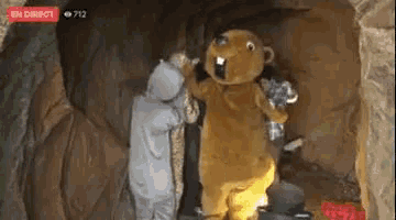 a couple of stuffed animals standing in a cave .