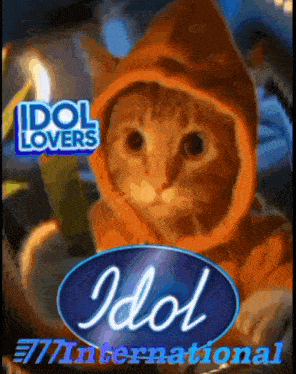 a cat wearing an orange hooded jacket is on a poster for idol international