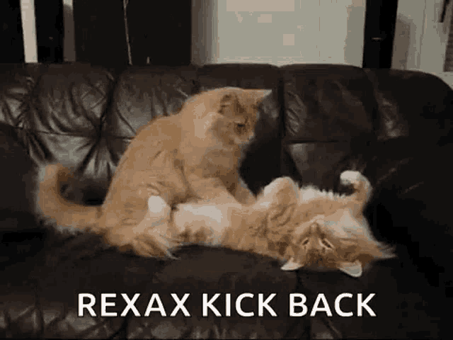 Massage Massaging GIF
