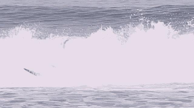 De Pernas Para O Ar Flamboiar GIF - De Pernas Para O Ar Flamboiar Surfista GIFs