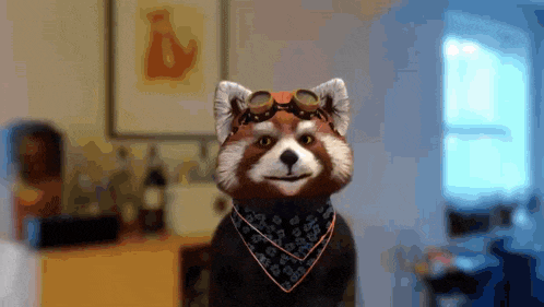 a red panda wearing goggles and a bandana looks at the camera