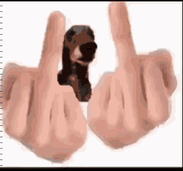 a person is giving the middle finger to a small dog .