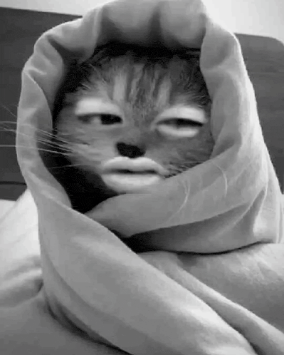 a black and white photo of a cat wrapped in a blanket