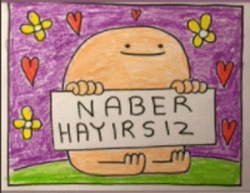 Naber Hayirsiz GIF - Naber Hayirsiz GIFs