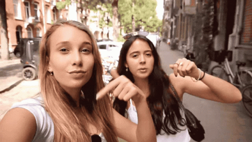 Two Girls Girlfriends GIF - Two Girls Girlfriends Selfie GIFs