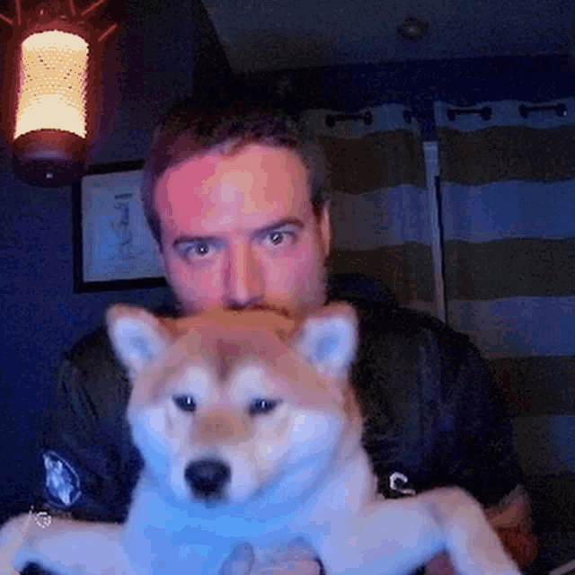 Grimmity Grimmy GIF - Grimmity Grimmy Grim Pup GIFs