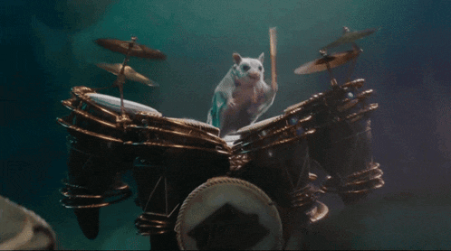 a hamster is playing a set of drums