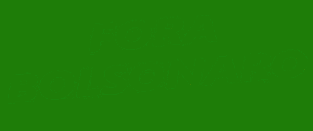 a green and yellow sign that says fora bolsonaro on it