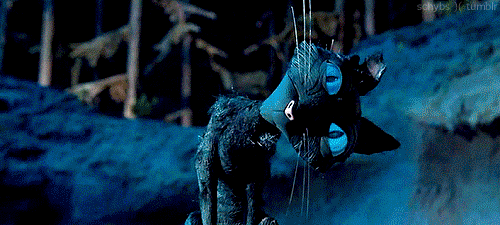 Coraline&Lt;3http://Cats-are-b3autiful.Tumblr.Com/ GIF - Coraline Othermother Cat GIFs