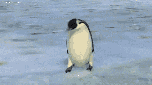 the word fail is on a blue background with a picture of a penguin