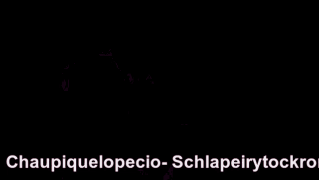 Chaupiquelopecio Schlapeirytoc GIF - Chaupiquelopecio Schlapeirytoc GIFs