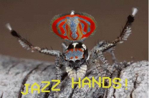 Jazz Hands GIF - Jazz Hands Spider GIFs