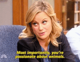 a woman is sitting in a chair and saying most importantly you are passionate about animals