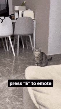 a cat sitting on a couch with the words press " e " to emote