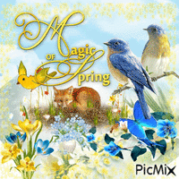 Magic Of Spring Birds GIF - Magic Of Spring Birds Blue GIFs