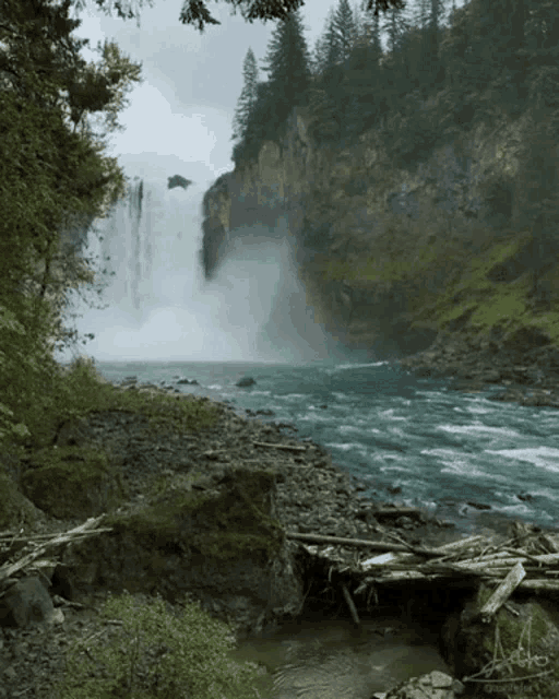 a waterfall is surrounded by trees and rocks and a river