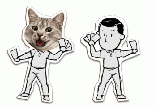 Testcat Gif Do Not Use Funny GIF - Testcat Gif Do Not Use Funny GIFs