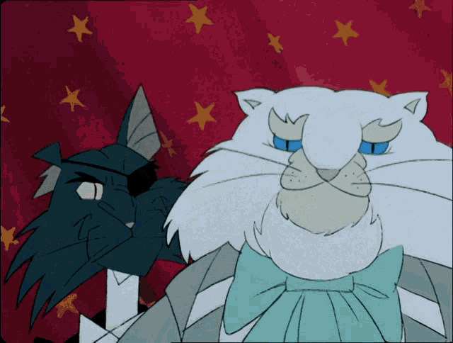 a black cat and a white cat are standing next to each other with stars in the background