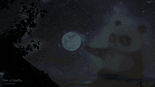 a picture of a panda looking at a full moon taken by oneplus